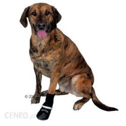 Skarpetki dla psa Trixie Walker Professional buty